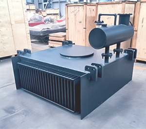 RCDE Oil-cooled Electromagnetic Separator